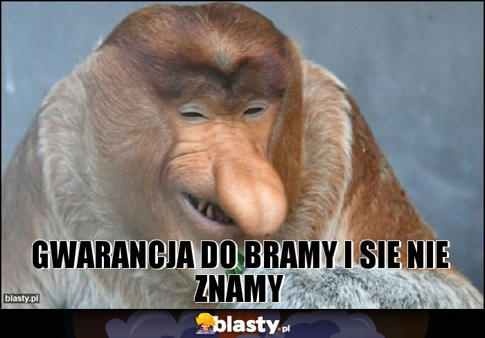 Gwarancja do bramy i sie nie znamy Gwarancja do bramy i sie nie znamy