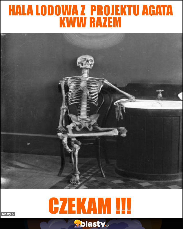 HALA LODOWA Z PROJEKTU AGATA KWW RAZEM HALA LODOWA Z PROJEKTU AGATA KWW RAZEM