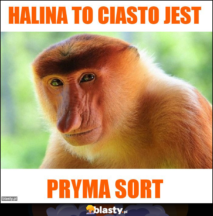 Halina to ciasto jest Halina to ciasto jest