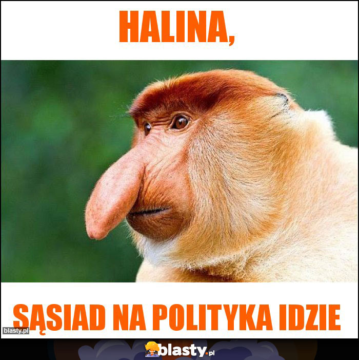 Halina,