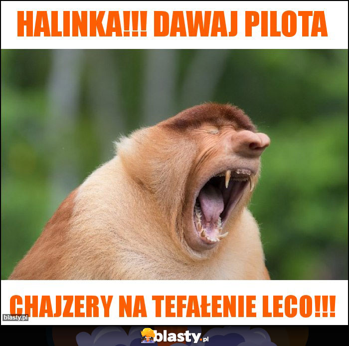 Halinka!!! Dawaj pilota Halinka!!! Dawaj pilota