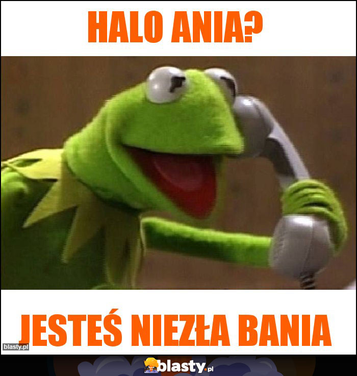 Halo Ania? Halo Ania?
