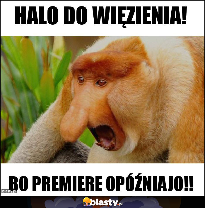 halo do więzienia! halo do więzienia!