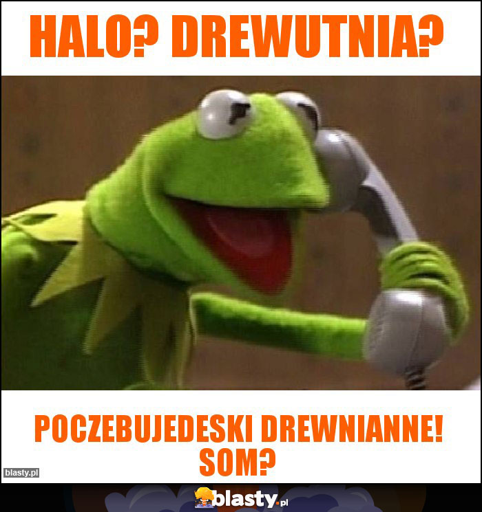 Halo? Drewutnia? Halo? Drewutnia?