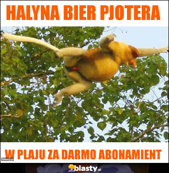 halyna bier pjotera halyna bier pjotera