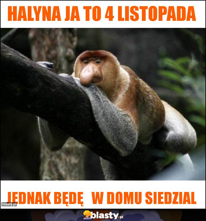 HALYNA JA TO 4 LISTOPADA HALYNA JA TO 4 LISTOPADA