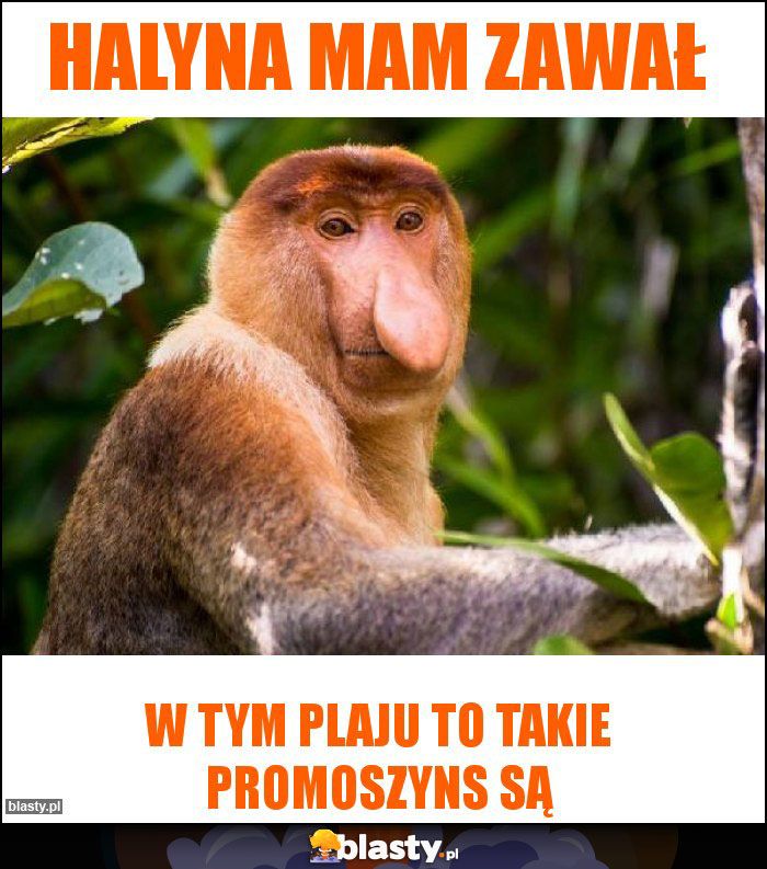 halyna mam zawał halyna mam zawał