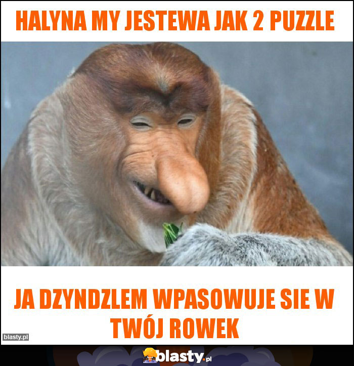 halyna my jestewa jak 2 puzzle halyna my jestewa jak 2 puzzle