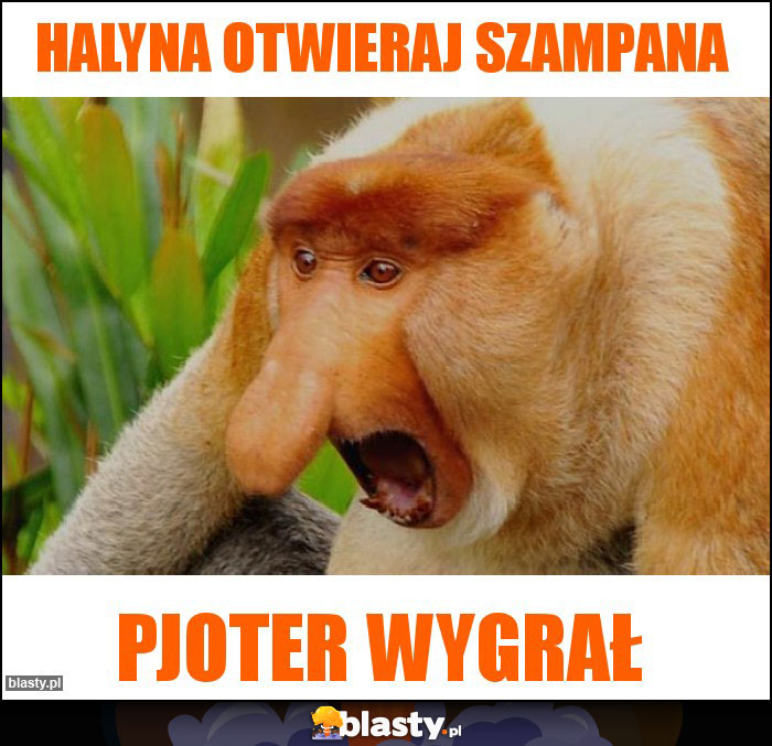 HALYNA OTWIERAJ SZAMPANA HALYNA OTWIERAJ SZAMPANA