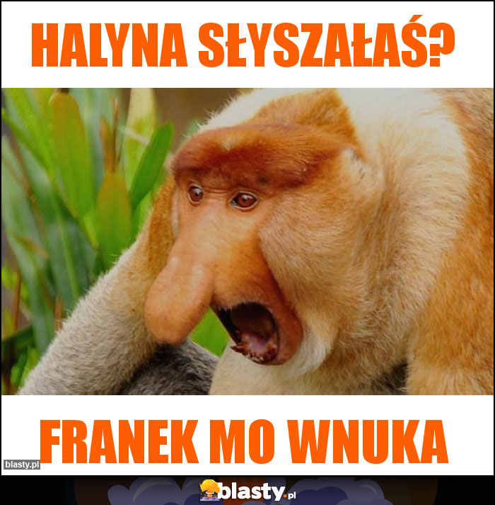 Halyna słyszałaś?