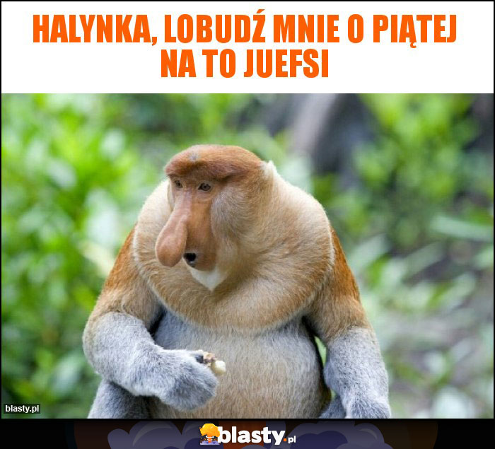 Halynka, lobudź mnie o piątej na to juefsi Halynka, lobudź mnie o piątej na to juefsi