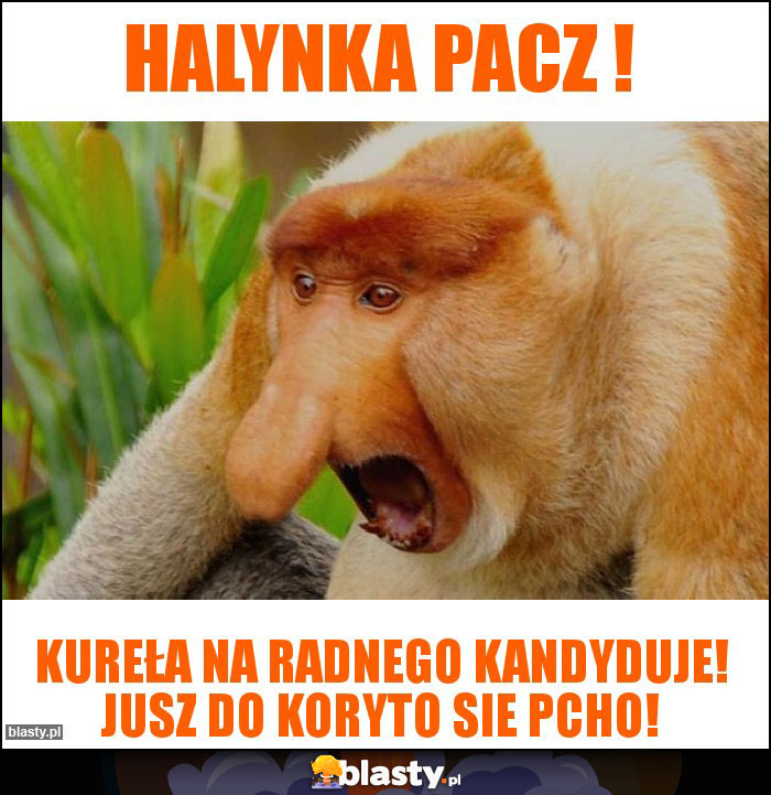 HALYNKA PACZ ! HALYNKA PACZ !