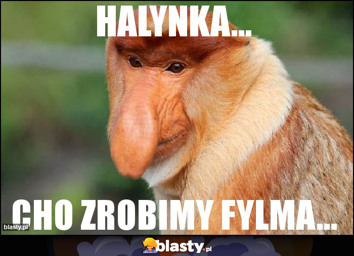 Halynka... Halynka...