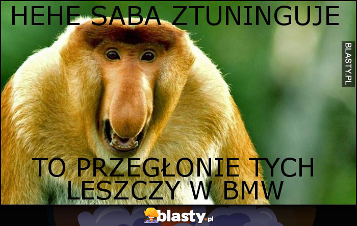 Hehe saba ztuninguje Hehe saba ztuninguje