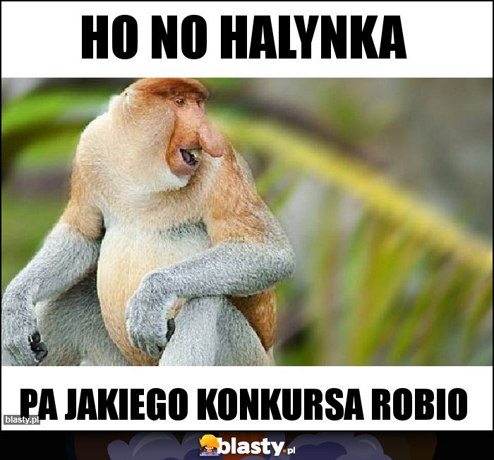 hO NO HALYNKA hO NO HALYNKA