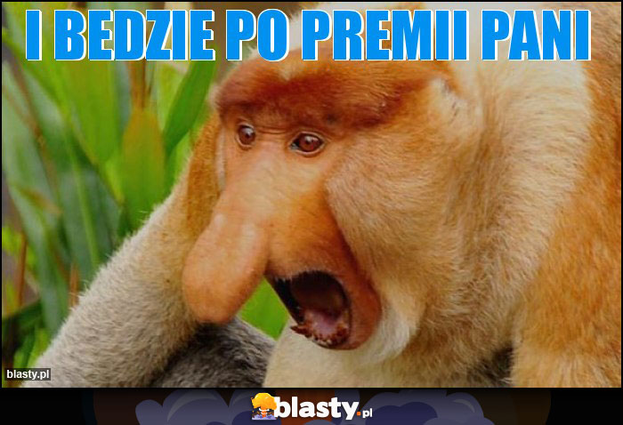 I bedzie po premii pani I bedzie po premii pani