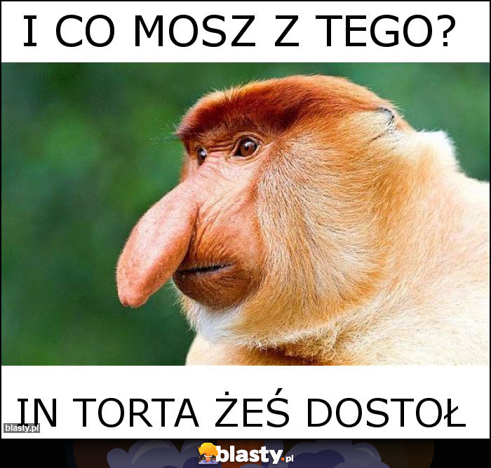 i co mosz z tego? i co mosz z tego?