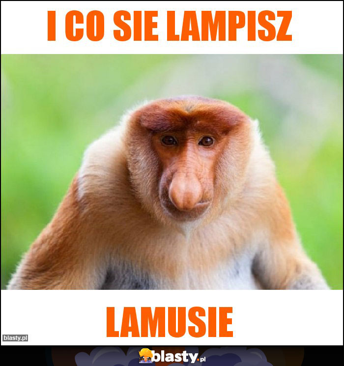 I CO SIE LAMPISZ I CO SIE LAMPISZ