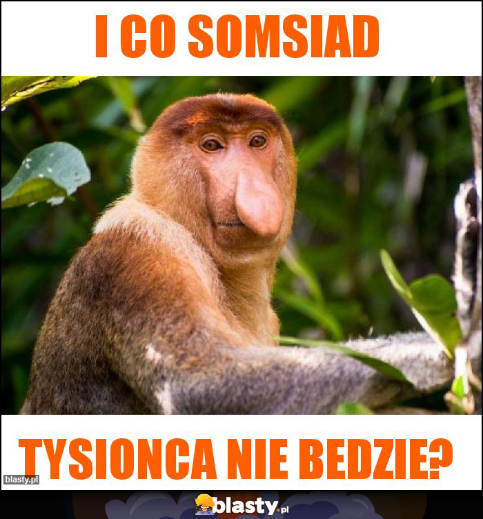 I co somsiad I co somsiad