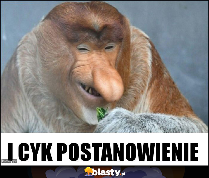 i cyk postanowienie i cyk postanowienie