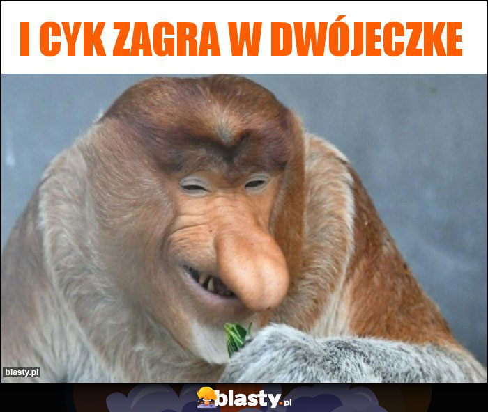 I cyk zagra w dwójeczke I cyk zagra w dwójeczke