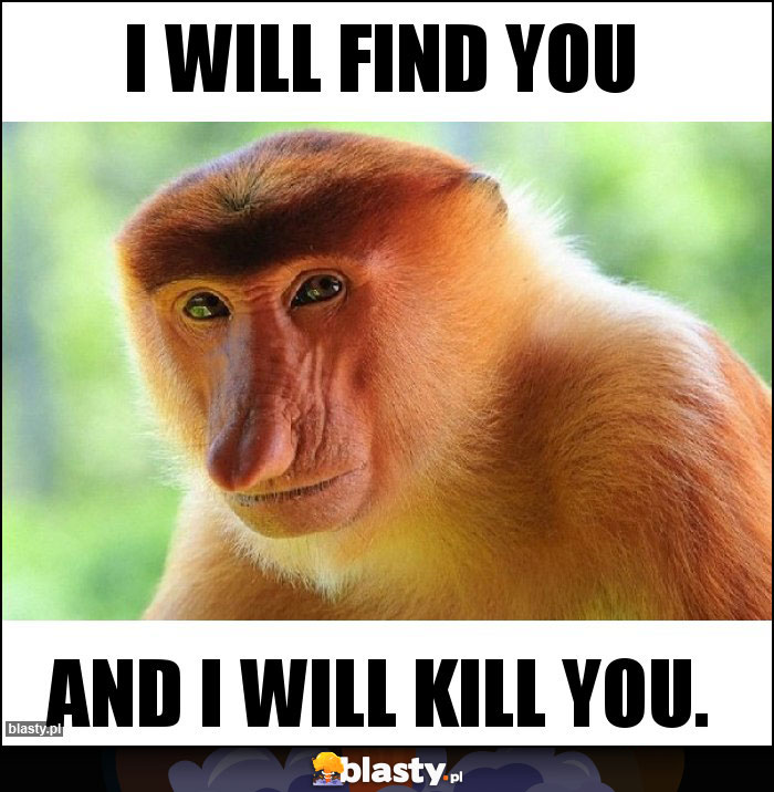 I WILL FIND YOU I WILL FIND YOU