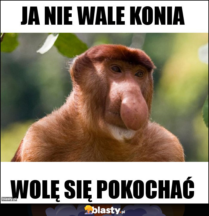Ja nie wale konia Ja nie wale konia