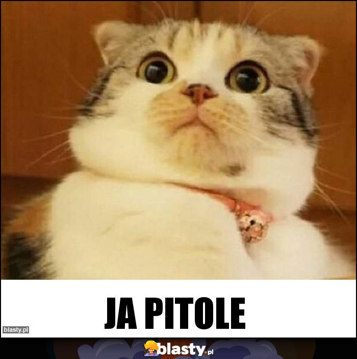 JA PITOLE