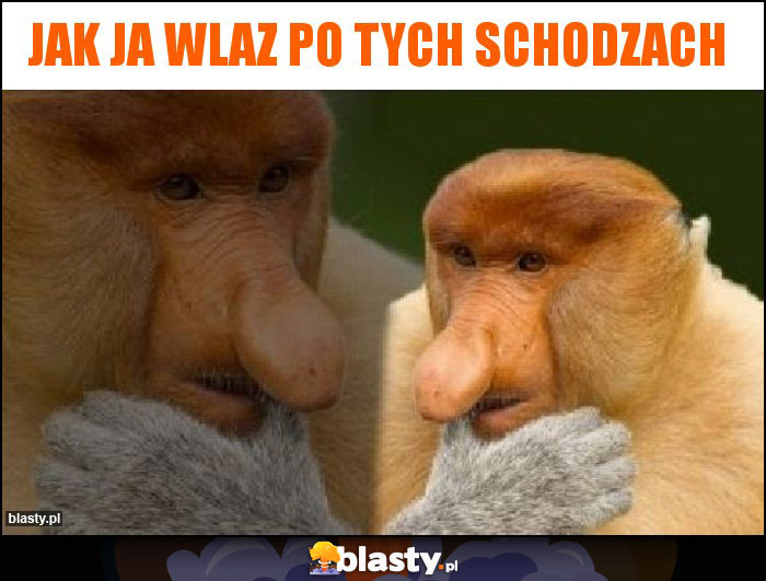 Jak ja wlaz po tych schodzach Jak ja wlaz po tych schodzach