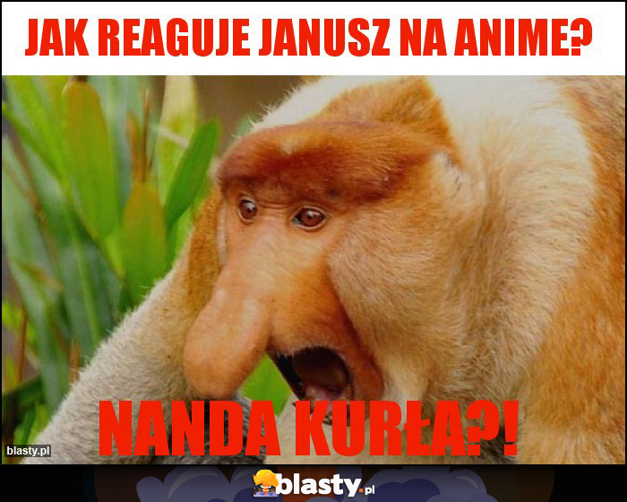 Jak reaguje Janusz na anime? Jak reaguje Janusz na anime?