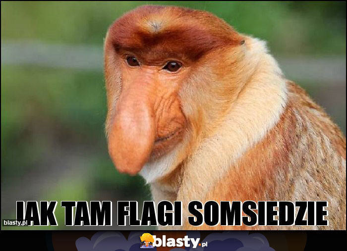 Jak tam flagi somsiedzie Jak tam flagi somsiedzie