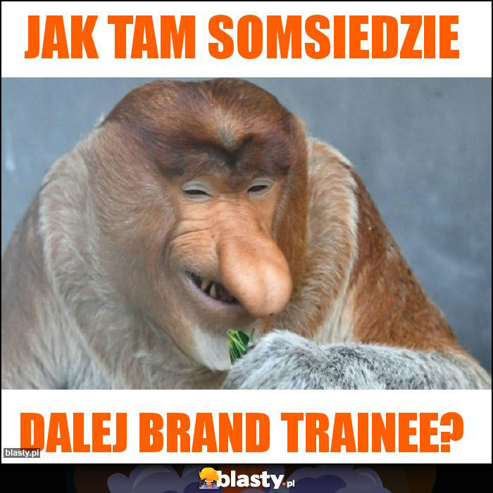 Jak tam somsiedzie