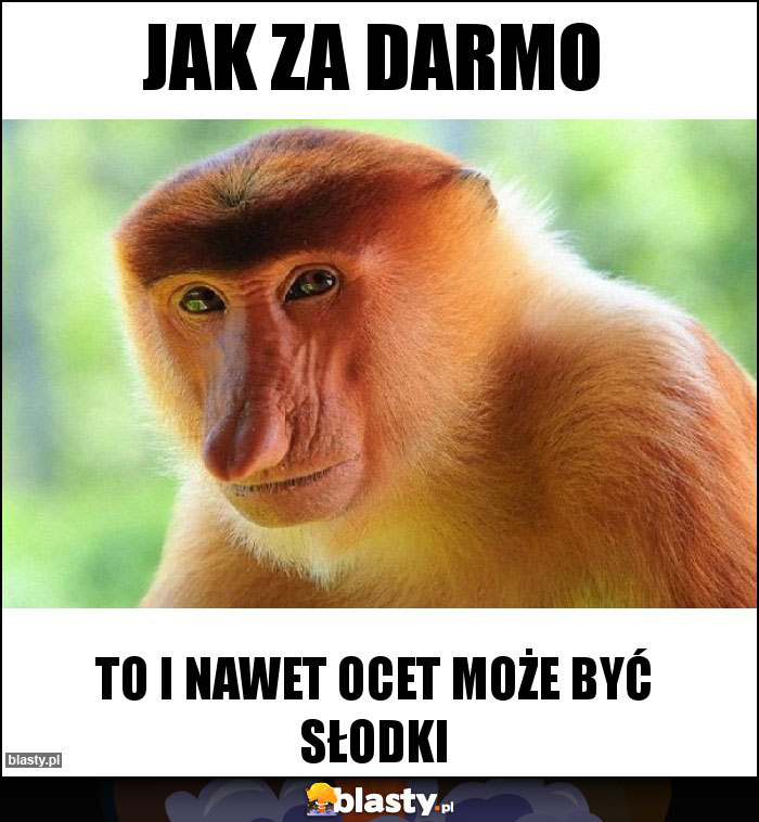 Jak za darmo
