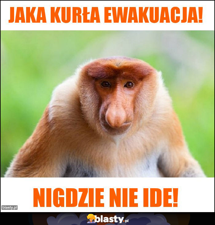 Jaka kurła ewakuacja! Jaka kurła ewakuacja!