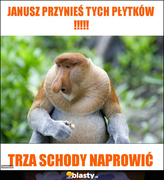 Janusz przynieś tych Płytków !!!!! Janusz przynieś tych Płytków !!!!!