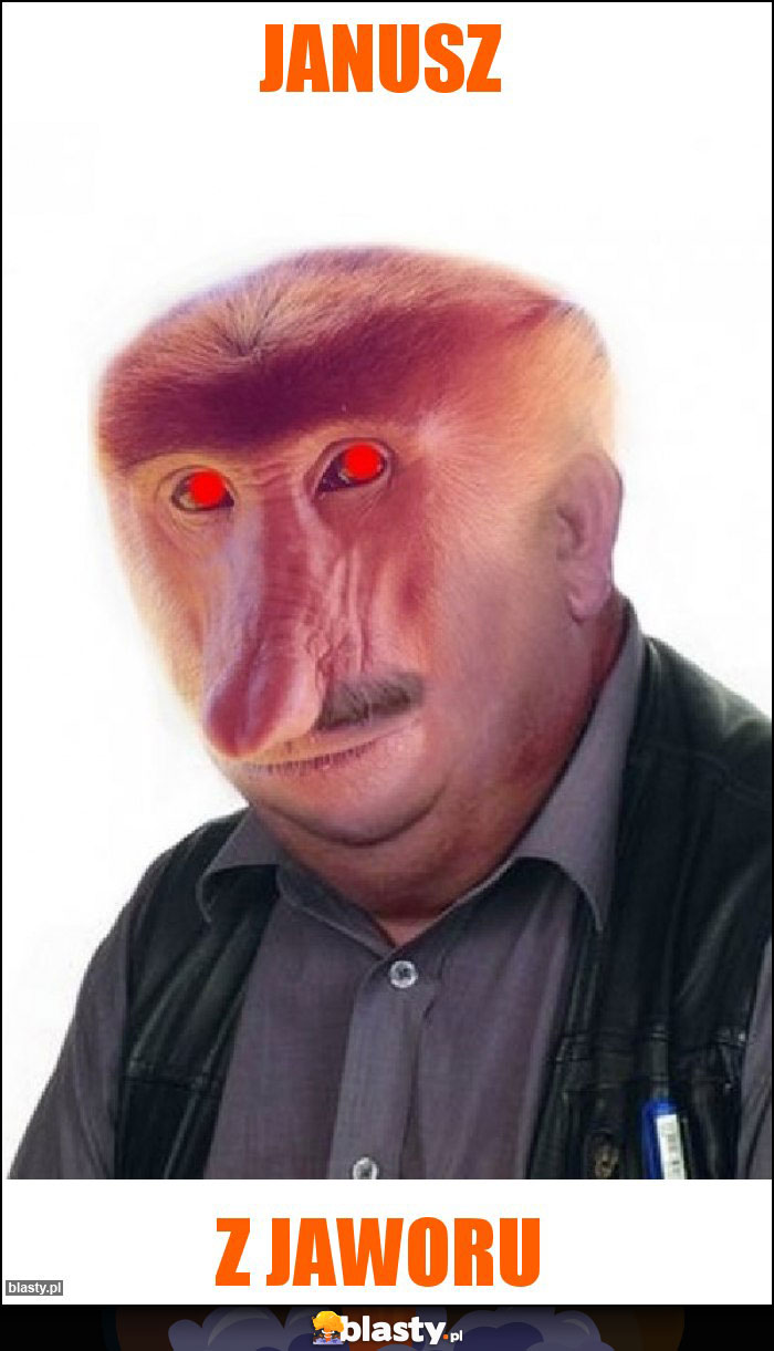 Janusz