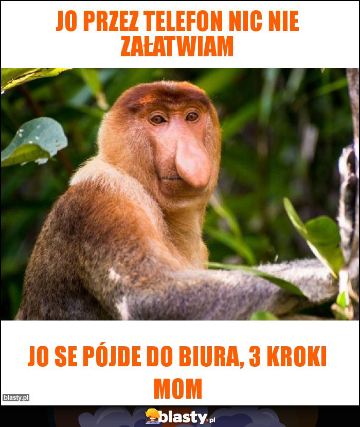 Jo przez telefon nic nie załatwiam Jo przez telefon nic nie załatwiam
