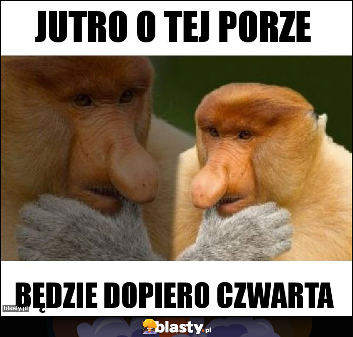 Jutro o tej porze