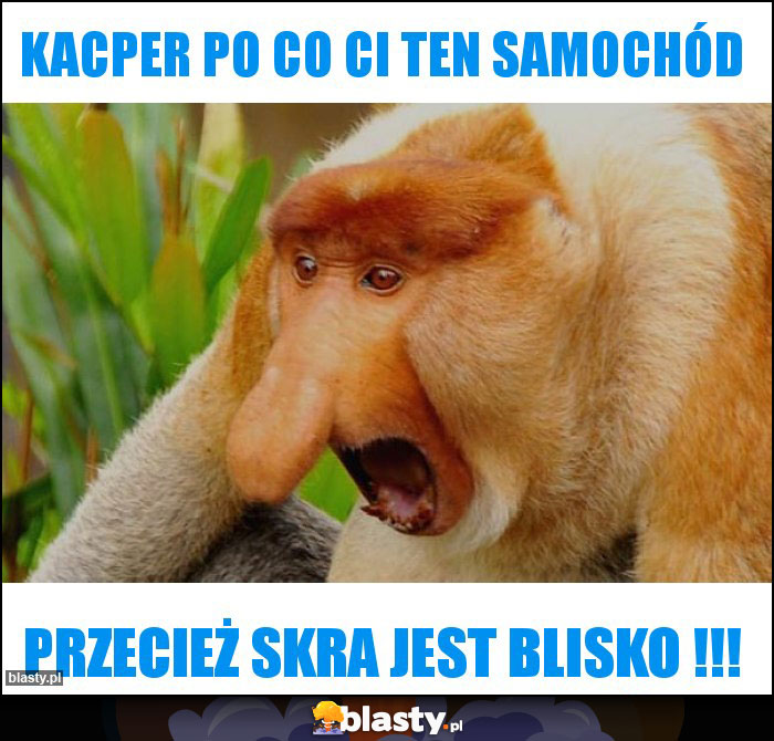 KACPER PO CO CI TEN SAMOCHÓD KACPER PO CO CI TEN SAMOCHÓD