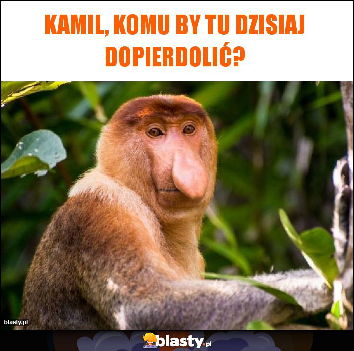KAMIL, KOMU BY TU DZISIAJ DOPIERDOLIĆ? KAMIL, KOMU BY TU DZISIAJ DOPIERDOLIĆ?