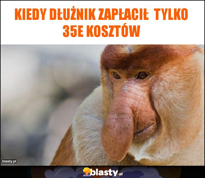Kiedy dłużnik zapłacił tylko 35e kosztów Kiedy dłużnik zapłacił tylko 35e kosztów