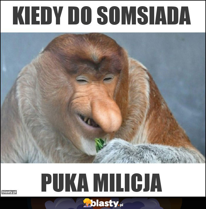 Kiedy do somsiada Kiedy do somsiada