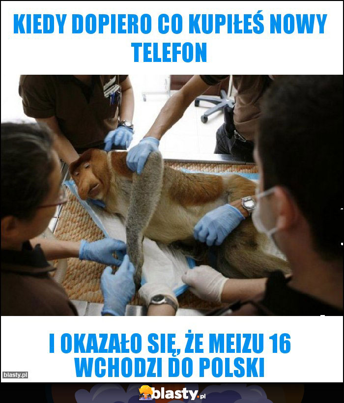 KIEDY DOPIERO CO KUPIŁEŚ NOWY TELEFON KIEDY DOPIERO CO KUPIŁEŚ NOWY TELEFON