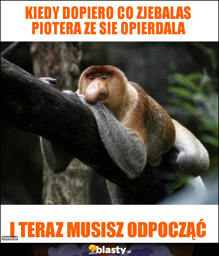 Kiedy dopiero co zjebalas piotera ze sie opierdala Kiedy dopiero co zjebalas piotera ze sie opierdala
