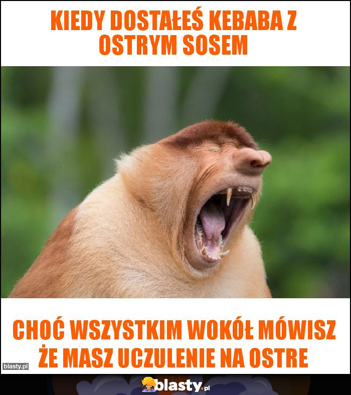 Kiedy dostałeś kebaba z ostrym sosem Kiedy dostałeś kebaba z ostrym sosem