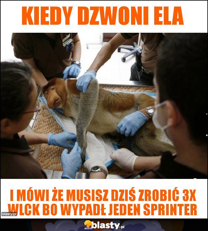 Kiedy dzwoni ela