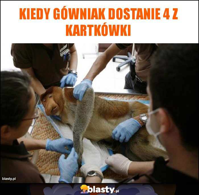 kiedy gówniak dostanie 4 z kartkówki