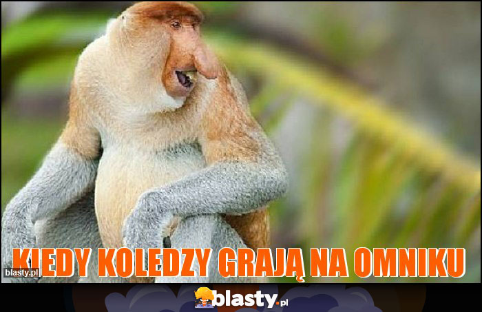 kiedy koledzy grają na omniku kiedy koledzy grają na omniku