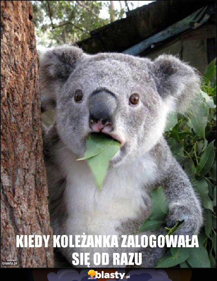 Kiedy koleżanka zalogowała się od razu Kiedy koleżanka zalogowała się od razu