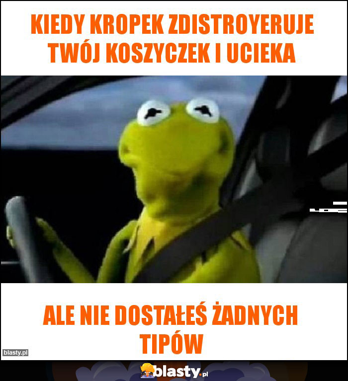 Kiedy kropek zdistroyeruje twój koszyczek i ucieka Kiedy kropek zdistroyeruje twój koszyczek i ucieka